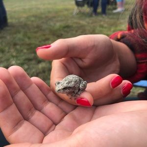 Meet your Posher, Beth